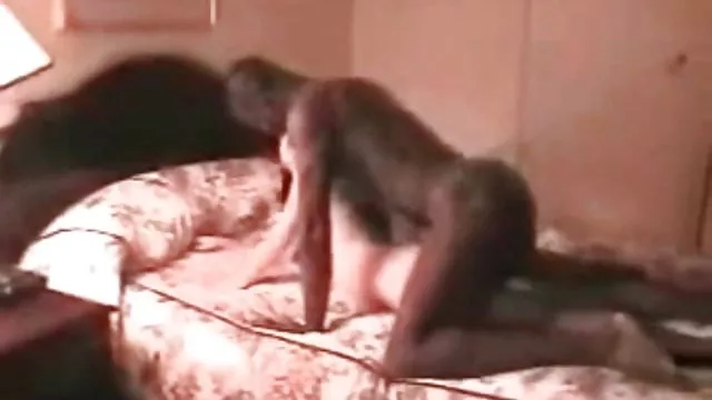 Darmowe porno bez rejestracji Wielkie sex polskie darmowe filmy cycki Latina