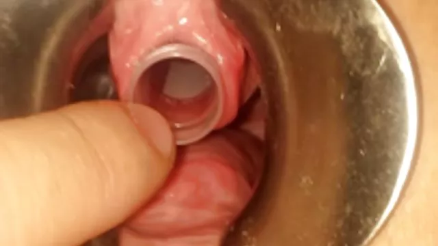 Darmowe porno bez rejestracji Mała portugalska laska amatorskie polskie sex filmy lubi kurczaka